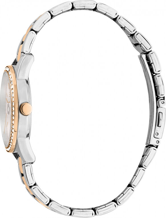 Moteriškas laikrodis Esprit Time ES1L315M0125 kaina ir informacija | Moteriški laikrodžiai | pigu.lt