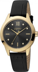 Moteriškas laikrodis Esprit ES1L317L0035 kaina ir informacija | Moteriški laikrodžiai | pigu.lt