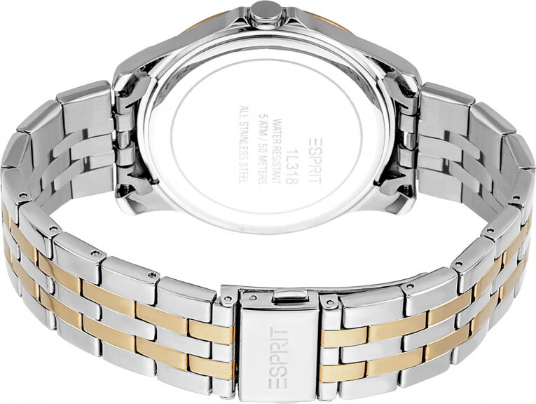 Moteriškas laikrodis Esprit Time ES1L318M0095 kaina ir informacija | Moteriški laikrodžiai | pigu.lt