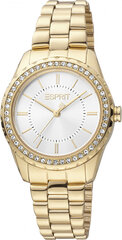 Moteriškas laikrodis Esprit Time ES1L319M0045 kaina ir informacija | Moteriški laikrodžiai | pigu.lt