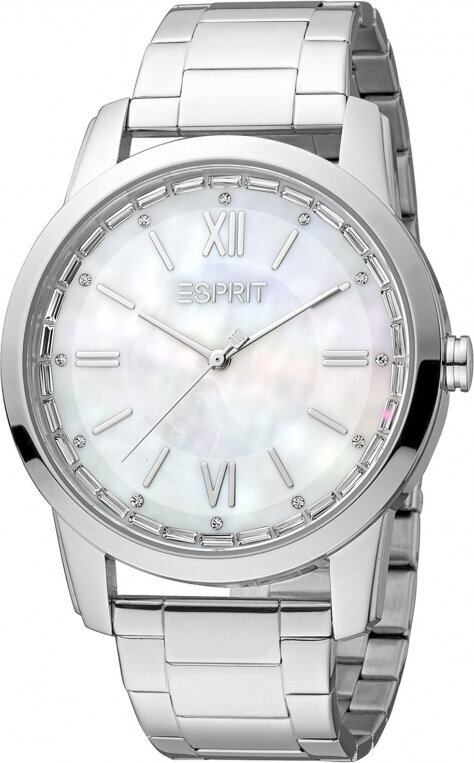 Laikrodis moterims Esprit ES1L325M0045 kaina ir informacija | Moteriški laikrodžiai | pigu.lt