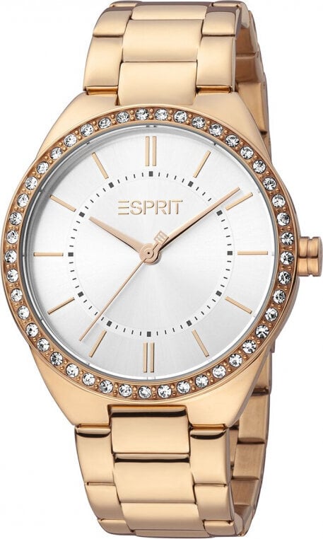 Moteriškas laikrodis Esprit ES1L326M0075 S7234775 kaina ir informacija | Moteriški laikrodžiai | pigu.lt