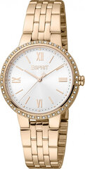 Moteriškas laikrodis Esprit ES1L333M0075 kaina ir informacija | Moteriški laikrodžiai | pigu.lt