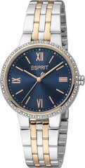 Moteriškas laikrodis Esprit Time ES1L333M0105 kaina ir informacija | Moteriški laikrodžiai | pigu.lt