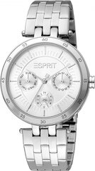 Женские часы Esprit ES1L337M0045 цена и информация | Женские часы | pigu.lt