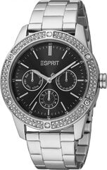 Moteriškas laikrodis Esprit ES1L338M0065 kaina ir informacija | Moteriški laikrodžiai | pigu.lt