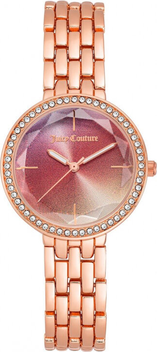 Moteriškas laikrodis Juicy Couture S7235034 kaina ir informacija | Moteriški laikrodžiai | pigu.lt