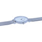 Laikrodis moterims Pierre Cardin CBV-1508 цена и информация | Moteriški laikrodžiai | pigu.lt