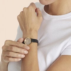 Женские часы Pierre Cardin CPI-2514 цена и информация | Женские часы | pigu.lt