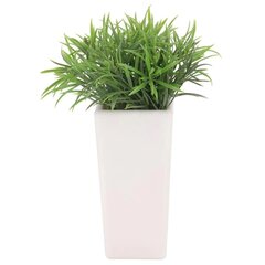 Искусственное растение, 24 см цена и информация | Искусственные цветы | pigu.lt