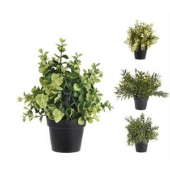 Искусственное растение IN GARDEN, D30xH25см, зелёный, серый горшок цена и информация | Искусственные цветы | pigu.lt