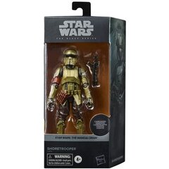 Star Wars Black Series ShoreTrooper Carbonized kaina ir informacija | Žaidėjų atributika | pigu.lt