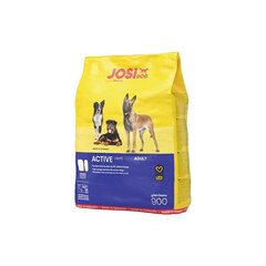 Josera Premium JosiDog Active сухой корм для активных собак с птицей, 900 г цена и информация | Josera Для собак | pigu.lt