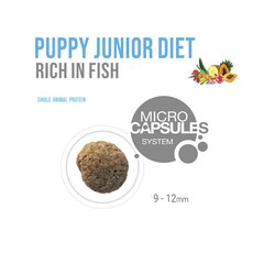 Forza10 Puppy Junior Diet alergiškiems šuniukams bei šuningoms ir maitinančioms kalėms, su žuvimi, 1,5 kg kaina ir informacija | Sausas maistas šunims | pigu.lt