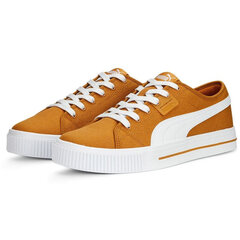 Мужские кроссовки Puma Ever Fs Cv Desert Clay Brown 386393 05/9.5, коричневые цена и информация | Кроссовки для мужчин | pigu.lt