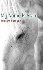 My Name Is Aram kaina ir informacija | Fantastinės, mistinės knygos | pigu.lt