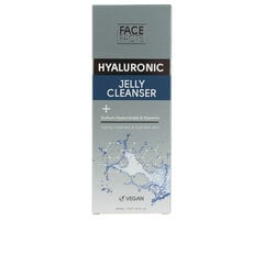 Veido prausiklis Face Facts Hyaluronic, 150 ml цена и информация | Средства для очищения лица | pigu.lt