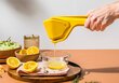 Dreamfarm Fluicer Lemon citrinų sulčiaspaudė, geltona цена и информация | Virtuvės įrankiai | pigu.lt