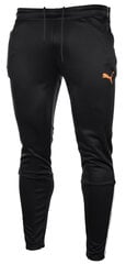 Puma sportinės kelnės vyrams teamLiga Training Pants Parisian 657242 47, juodos цена и информация | Мужские брюки FINIS | pigu.lt