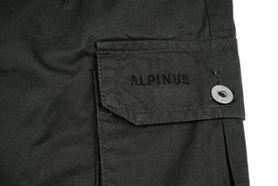Sportiniai šortai vyrams Alpinus Askja SI18159, pilki цена и информация | Мужская спортивная одежда | pigu.lt