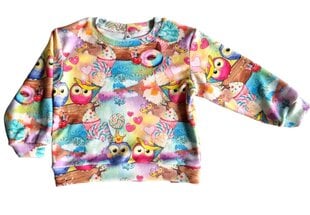 Džemperis mergaitėms Saldūs pelėdžiukai kaina ir informacija | Megztiniai, bluzonai, švarkai berniukams | pigu.lt