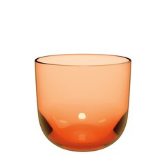 Like by Villeroy & Boch Apricot stiklinė, 280 ml, 2 vnt. kaina ir informacija | Taurės, puodeliai, ąsočiai | pigu.lt