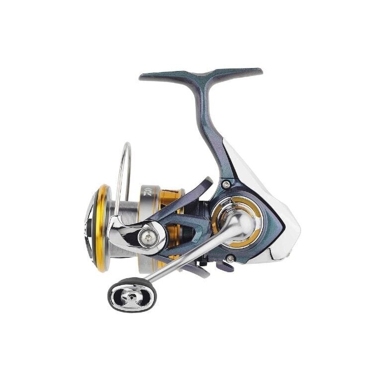 Ritė Daiwa Regal LT3000D-C kaina ir informacija | Ritės žvejybai | pigu.lt