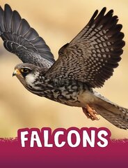 Falcons kaina ir informacija | Knygos paaugliams ir jaunimui | pigu.lt