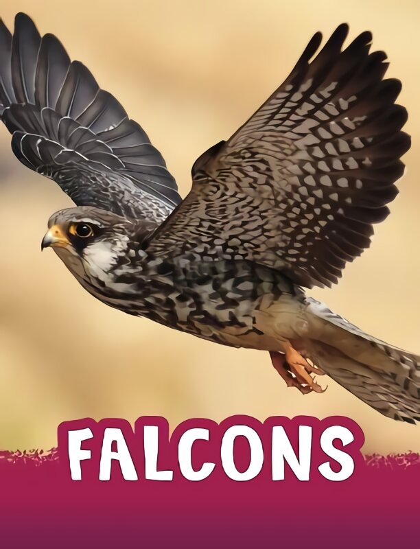 Falcons kaina ir informacija | Knygos paaugliams ir jaunimui | pigu.lt