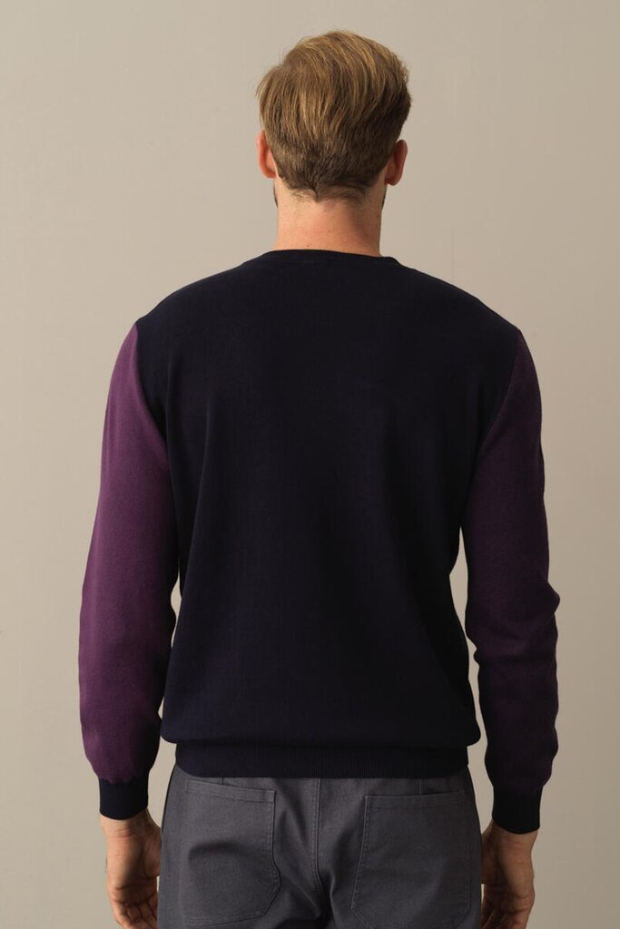 Megztinis vyrams XINT, violetinis kaina ir informacija | Megztiniai vyrams | pigu.lt