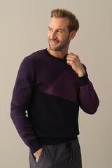 Свитер XINT 801655LACIVERT-M цена и информация | Мужские свитера | pigu.lt