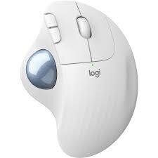 Logitech Ergo M575 kaina ir informacija | Pelės | pigu.lt