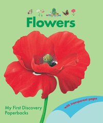 Flowers цена и информация | Книги для подростков и молодежи | pigu.lt