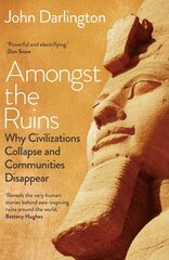 Amongst the Ruins: Why Civilizations Collapse and Communities Disappear цена и информация | Исторические книги | pigu.lt