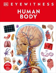 Human Body kaina ir informacija | Knygos paaugliams ir jaunimui | pigu.lt