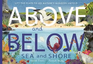 Above and Below: Sea and Shore: Lift the flaps to see nature's wonders unfold kaina ir informacija | Knygos paaugliams ir jaunimui | pigu.lt