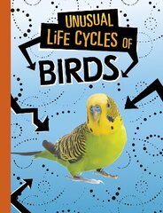 Unusual Life Cycles of Birds цена и информация | Книги для подростков  | pigu.lt