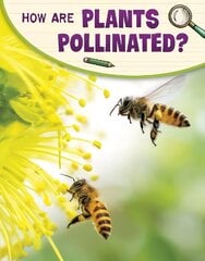 How Are Plants Pollinated? kaina ir informacija | Knygos paaugliams ir jaunimui | pigu.lt