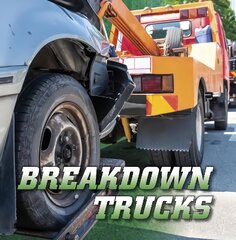 Breakdown Trucks цена и информация | Книги для подростков  | pigu.lt