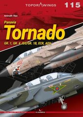 Panavia Tornado: Gr. 1, Gr. 4, Ids/Gr. 1b, Ecr, Adv kaina ir informacija | Socialinių mokslų knygos | pigu.lt