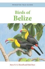 Birds of Belize цена и информация | Путеводители, путешествия | pigu.lt