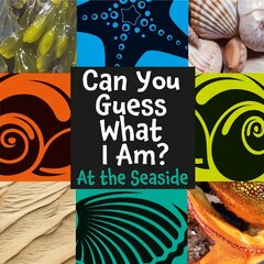 Can You Guess What I Am?: At the Seaside Illustrated edition kaina ir informacija | Knygos paaugliams ir jaunimui | pigu.lt