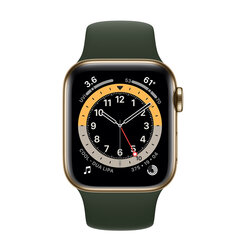 Apple Watch Series 6 40mm Stainless steel GPS+Cellular (Oбновленный, состояние как новый) цена и информация | Смарт-часы (smartwatch) | pigu.lt
