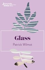 Glass 10th Anniversary ed. цена и информация | Fantastinės, mistinės knygos | pigu.lt