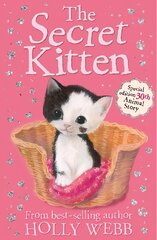 Secret Kitten цена и информация | Книги для подростков  | pigu.lt