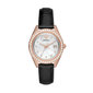 Laikrodis moterims Armani Emporio AR11505 kaina ir informacija | Moteriški laikrodžiai | pigu.lt