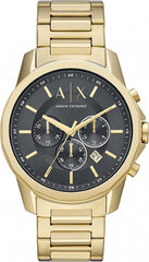 Laikrodis moterims Armani Exchange AX1721 цена и информация | Женские часы | pigu.lt