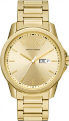 Laikrodis moterims Armani Exchange AX1734 цена и информация | Женские часы | pigu.lt