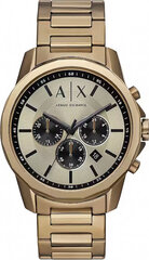 Laikrodis moterims Armani Exchange AX1739 цена и информация | Женские часы | pigu.lt