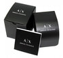 Laikrodis moterims Armani Exchange AX1866 kaina ir informacija | Moteriški laikrodžiai | pigu.lt